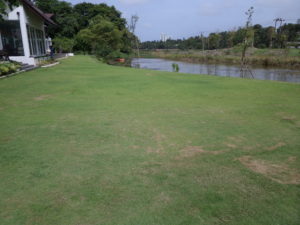 landscape-sri-lanka