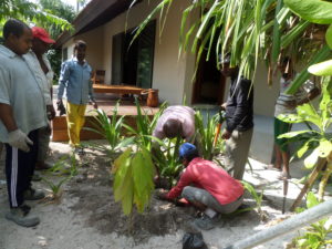 landscaping services in sri lanka